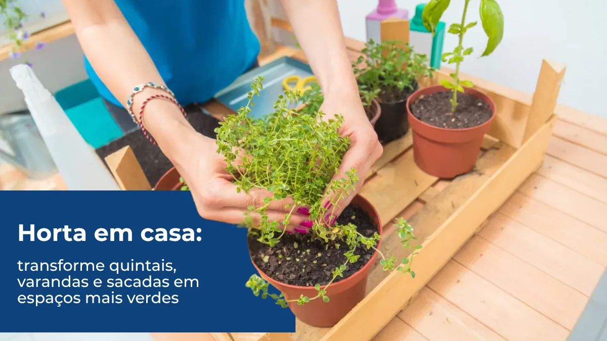 Horta em casa
